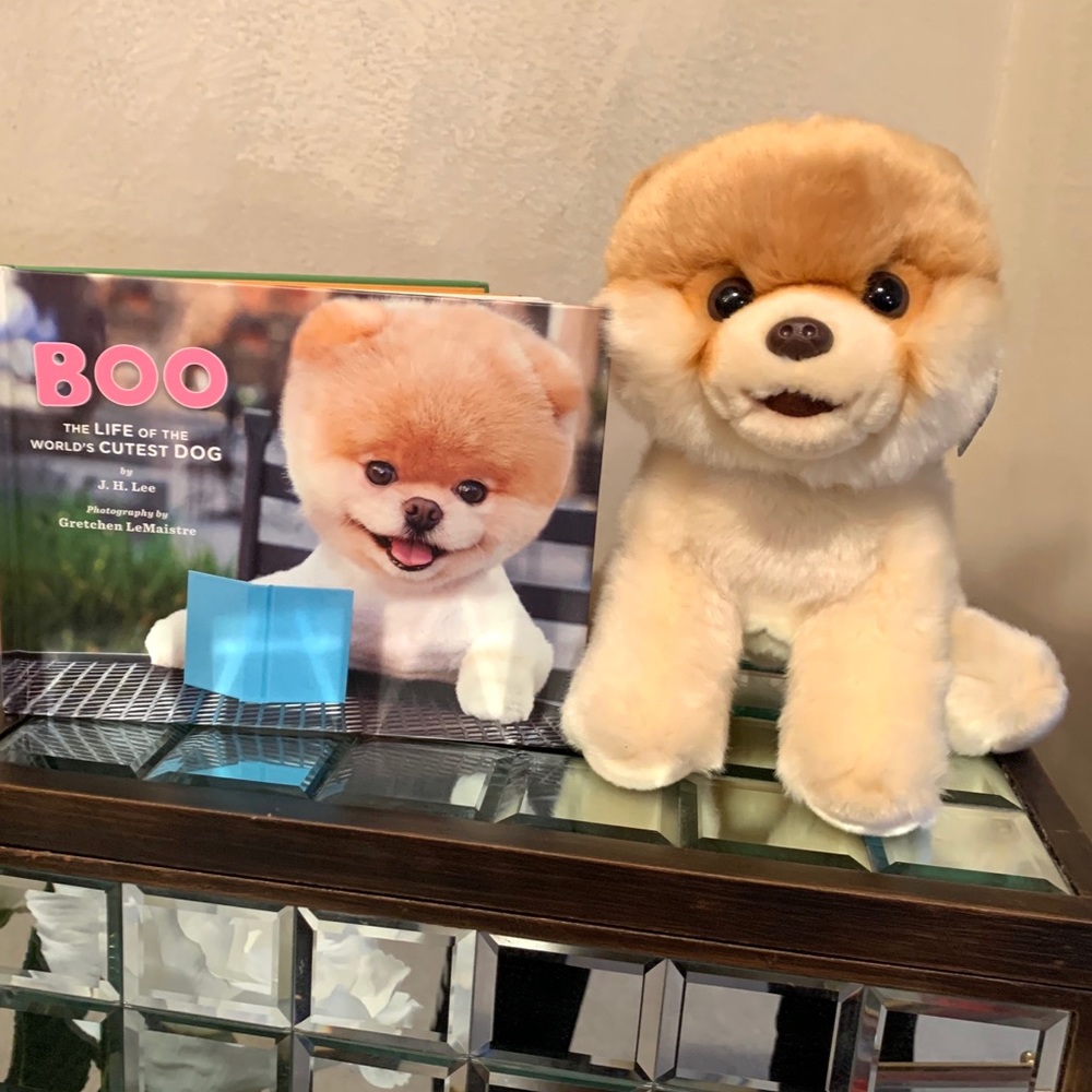 Boo Plush Stuffed Dog & Book Set - Picture 2 of 7